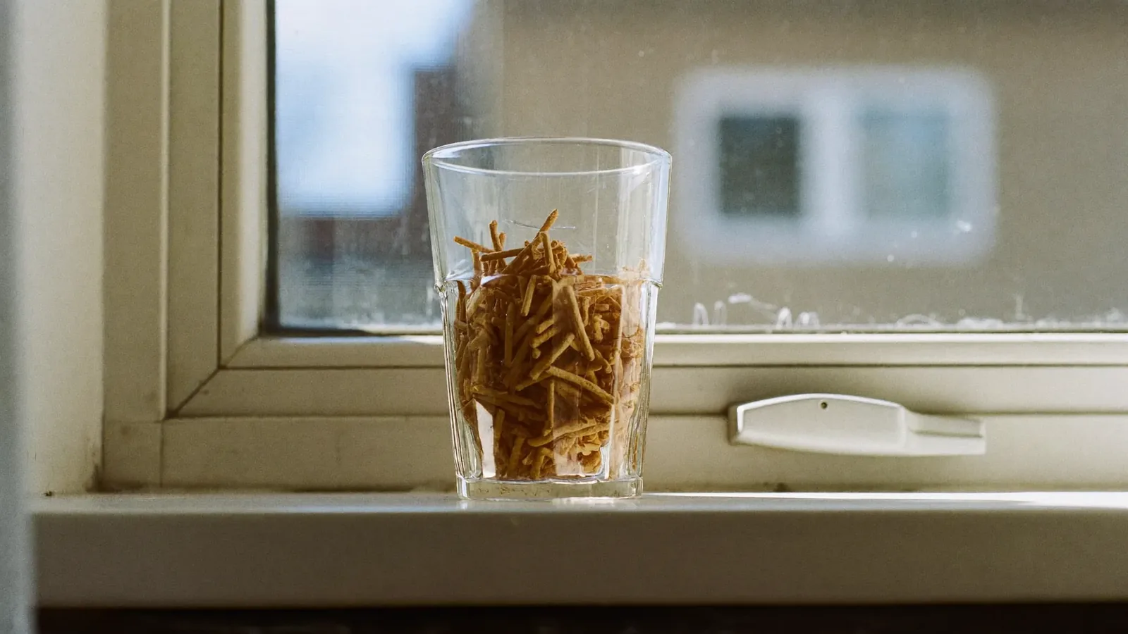 Water collected on a window sill where the corner gasket has shrunk away from the frame